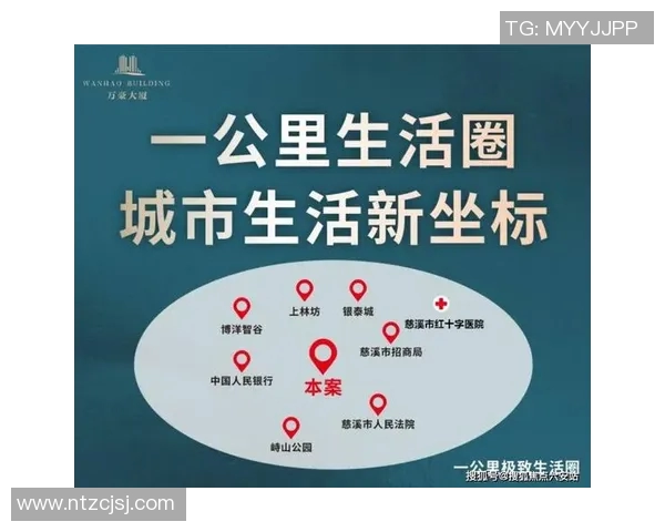 上海篮球队运营革新全景解析打造新模式引领职业体育发展新潮流