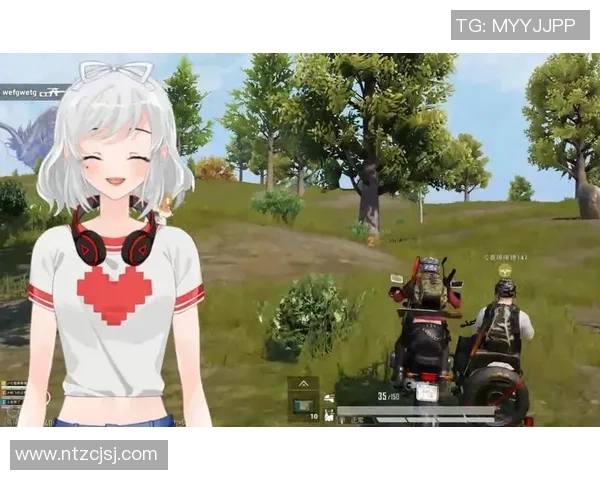 和平精英战队WE心理素质分析与提升策略探讨